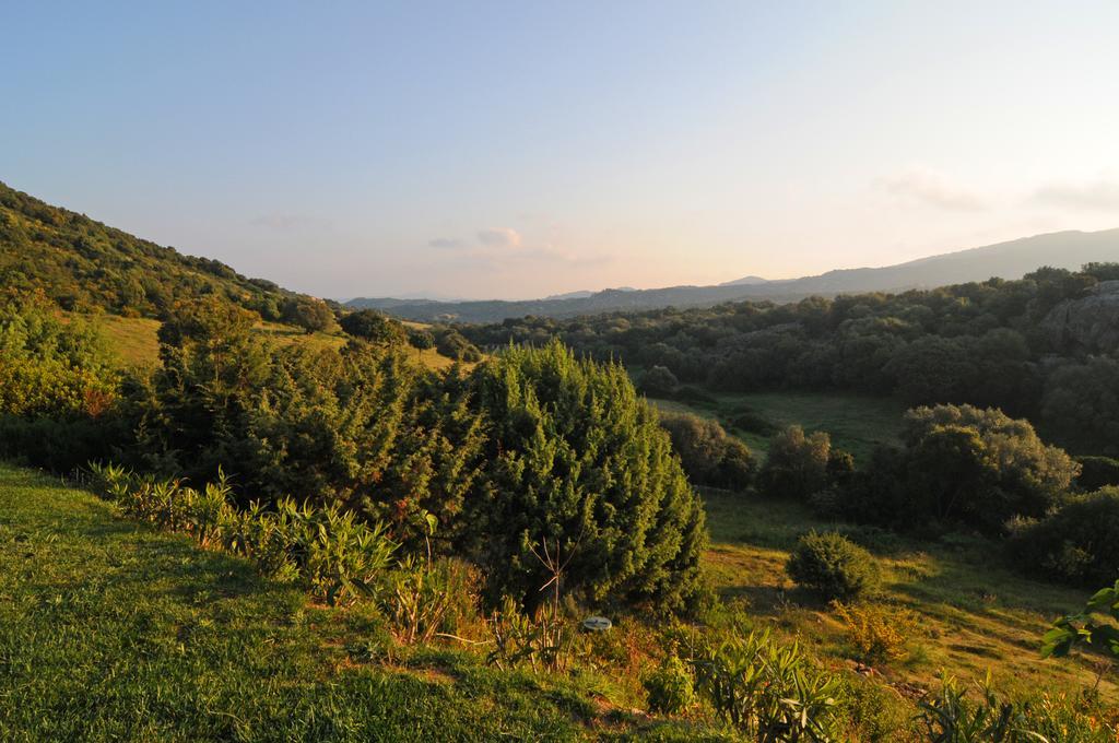 B&B La Murichessa Arzachena Bagian luar foto