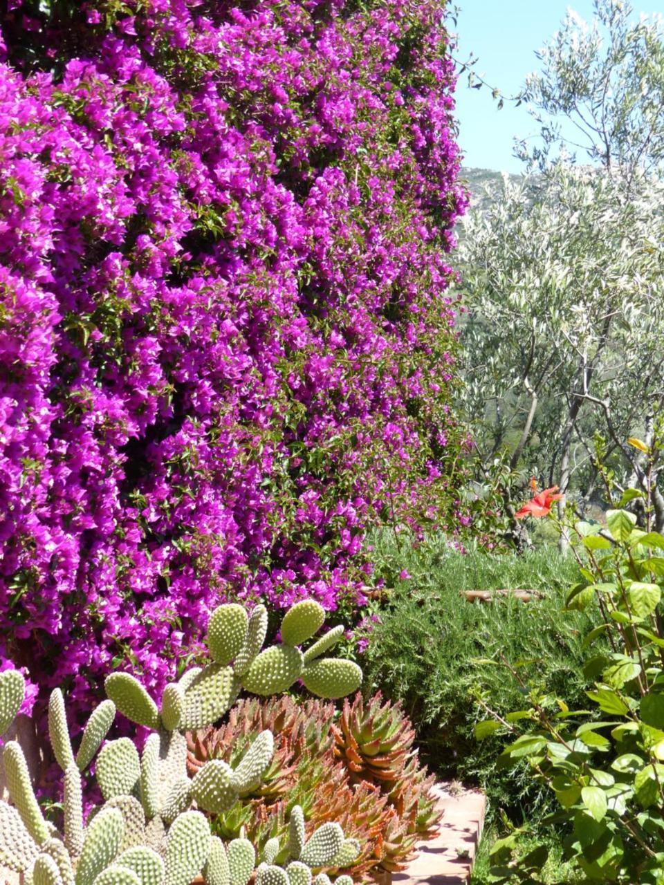 B&B La Murichessa Arzachena Bagian luar foto